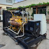 Open Type Natural/Biogas Gas 250kw/313kva Generator Set V12 with Parallel System