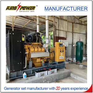 Green Power Low Emission 240kw Continuous Output Biogas Generator Set