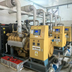 Farm Use 240kw/300kVA Biogas Generator Set with Desulfurization System