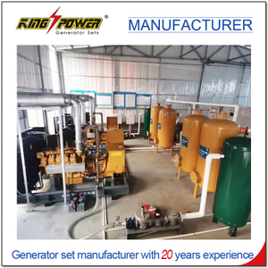 Hot Sale 200kw/250kVA Biogas Generator Set with Desulfurization System