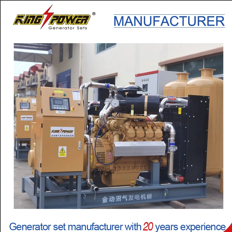 Professional Supplier of 3 Phase 50Hz/60Hz 300kw/375kVA Biogas Generator Set