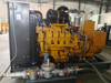 Green Power Low Emission 50Hz/60Hz Water Cooled Biogas Generator Set