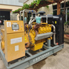 Used/ Second Hand Open Type Natural/Biogas Gas 250kw/313kva Generator Set 