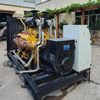 Open Type Natural/Biogas Gas 250kw/313kva Generator Set V12 with Parallel System