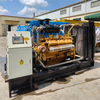 Open Type Natural/Biogas Gas 250kw/313kva Generator Set V12 with Parallel System