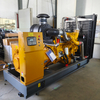 Power Up Your Operations: 170kW LPG Generator Set with King Power Engine & Robot Alternator