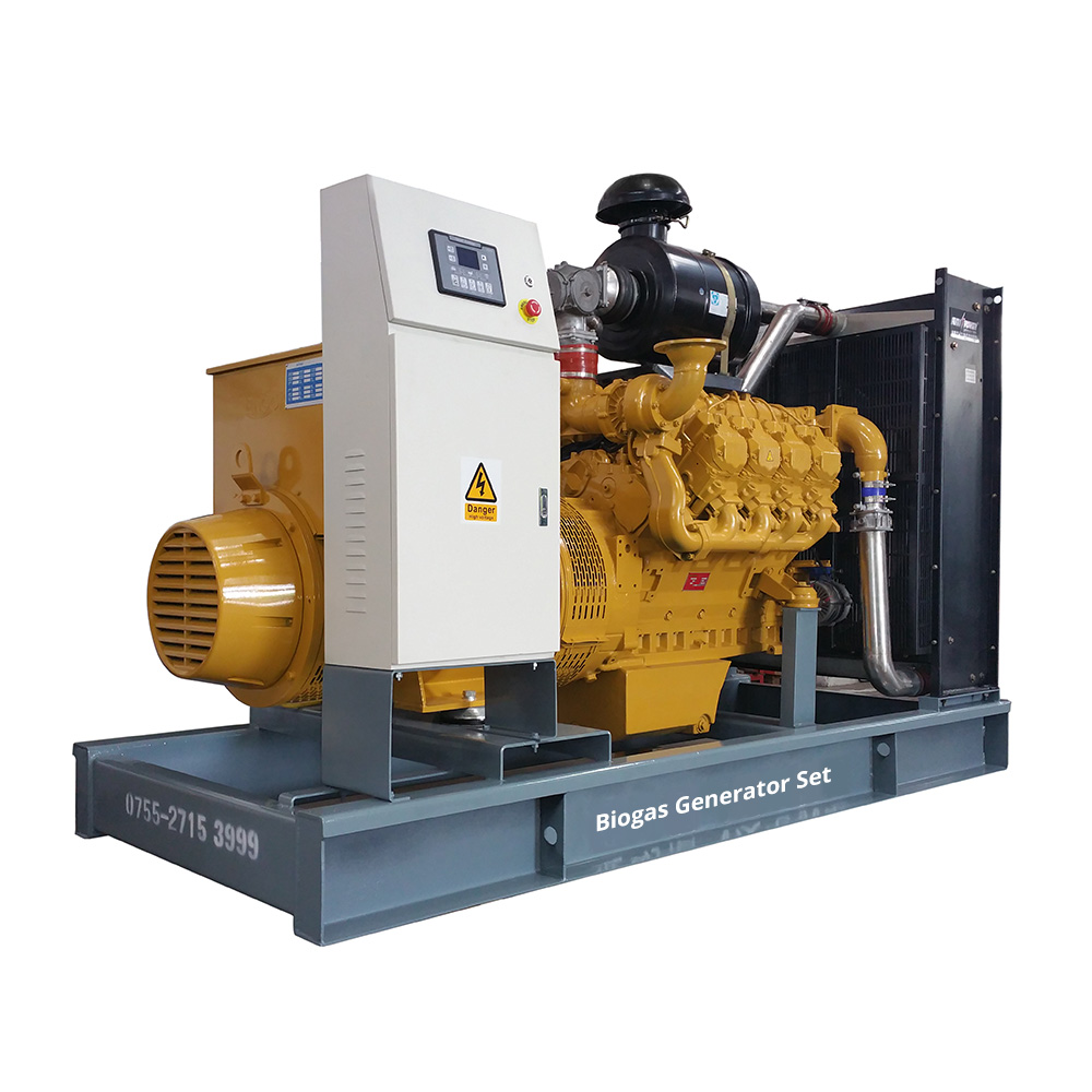 30KW Water-Cooled Farm Biogas Generator Set