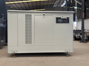 Open/Silent Type 30KW/38KVA Natural / LPG Gas Generator Set 