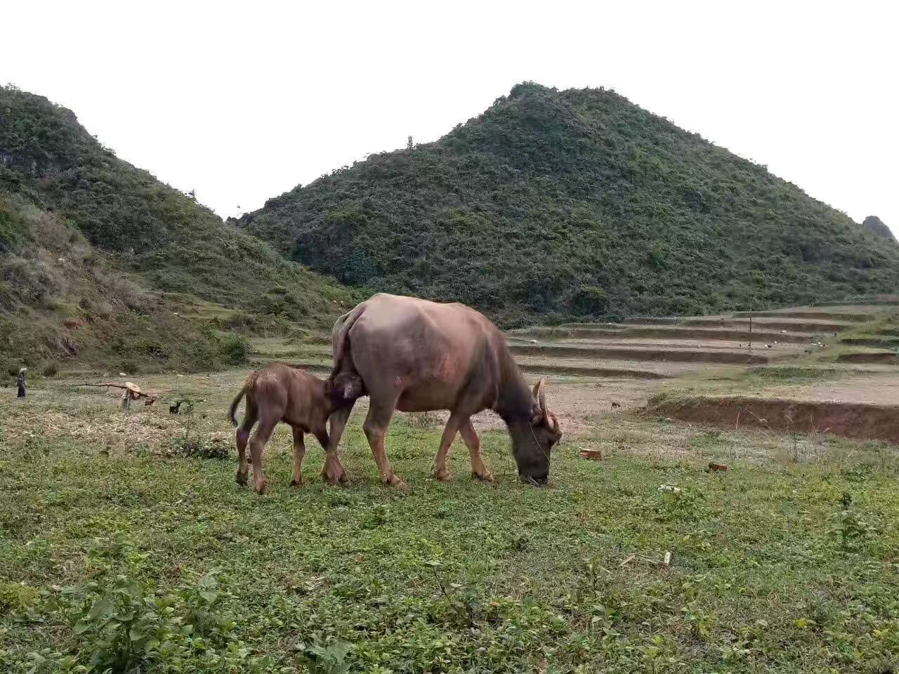 微信图片_20250719140202