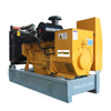 Auto Start 3 Phase 80kw/100kva Nature Gas Generator Set with Cummins/Weichai/Yuchai/Deutz Engine