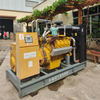Used/ Second Hand Open Type Natural/Biogas Gas 250kw/313kva Generator Set 