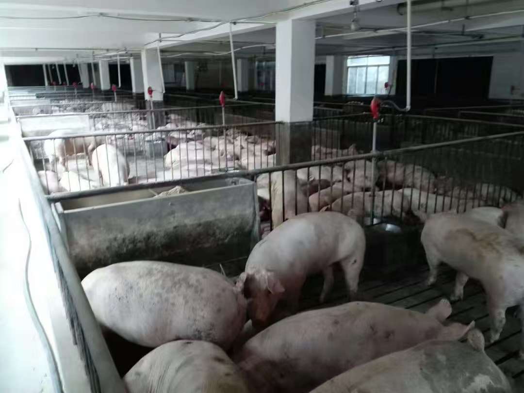 微信图片_20250719140107