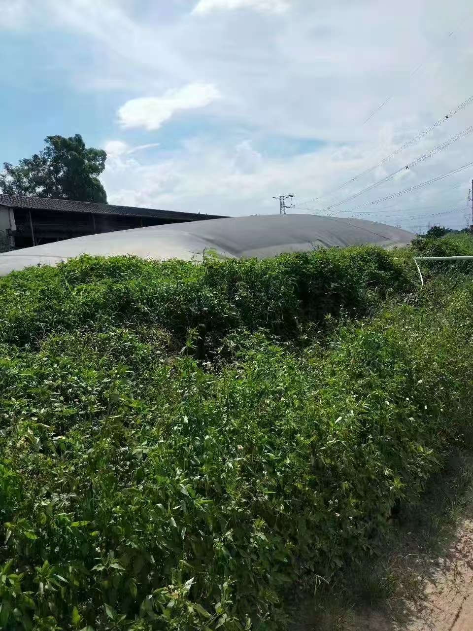 微信图片_20250719140236