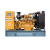 Auto Start 3 Phase 80kw/100kva Nature Gas Generator Set with Cummins/Weichai/Yuchai/Deutz Engine