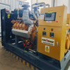 200KW/250KVA Biogas Generator Set with Low Emission for Continuous Green Power 