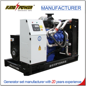 Open/Silent Type 3 Phase 250KW/313KVA Natural Gas Generator Set