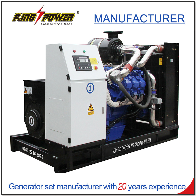 Open/Silent Type 250KW/313KVA Natural Gas Generator Set