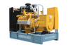 Professional Supplier of 3 Phase 50Hz/60Hz 300kw/375kVA Methanol Generator Set