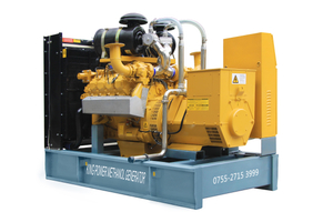 Professional Supplier of 3 Phase 50Hz/60Hz 300kw/375kVA Methanol Generator Set
