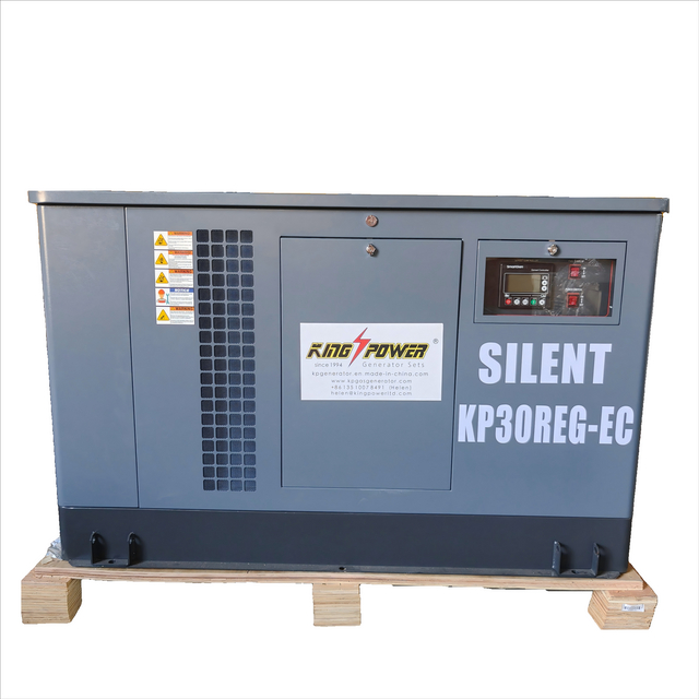 Ultra-Quiet 30kW/38kVA Generator Powered by LPG, LNG & CNG Natural Gas