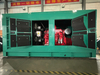 Green Power Low Emission Three Phase 600kw 700kw 800kw 1000kw Natural Gas Generator Set 