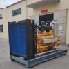 3 Phase 50Hz/60Hz 350kw/438kVA Biogas Generator Set