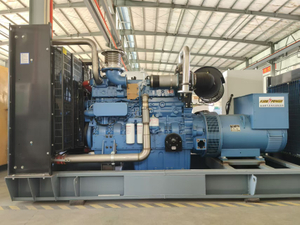 3 Phase 50Hz/60Hz 400kw/500kVA Biogas Generator Set