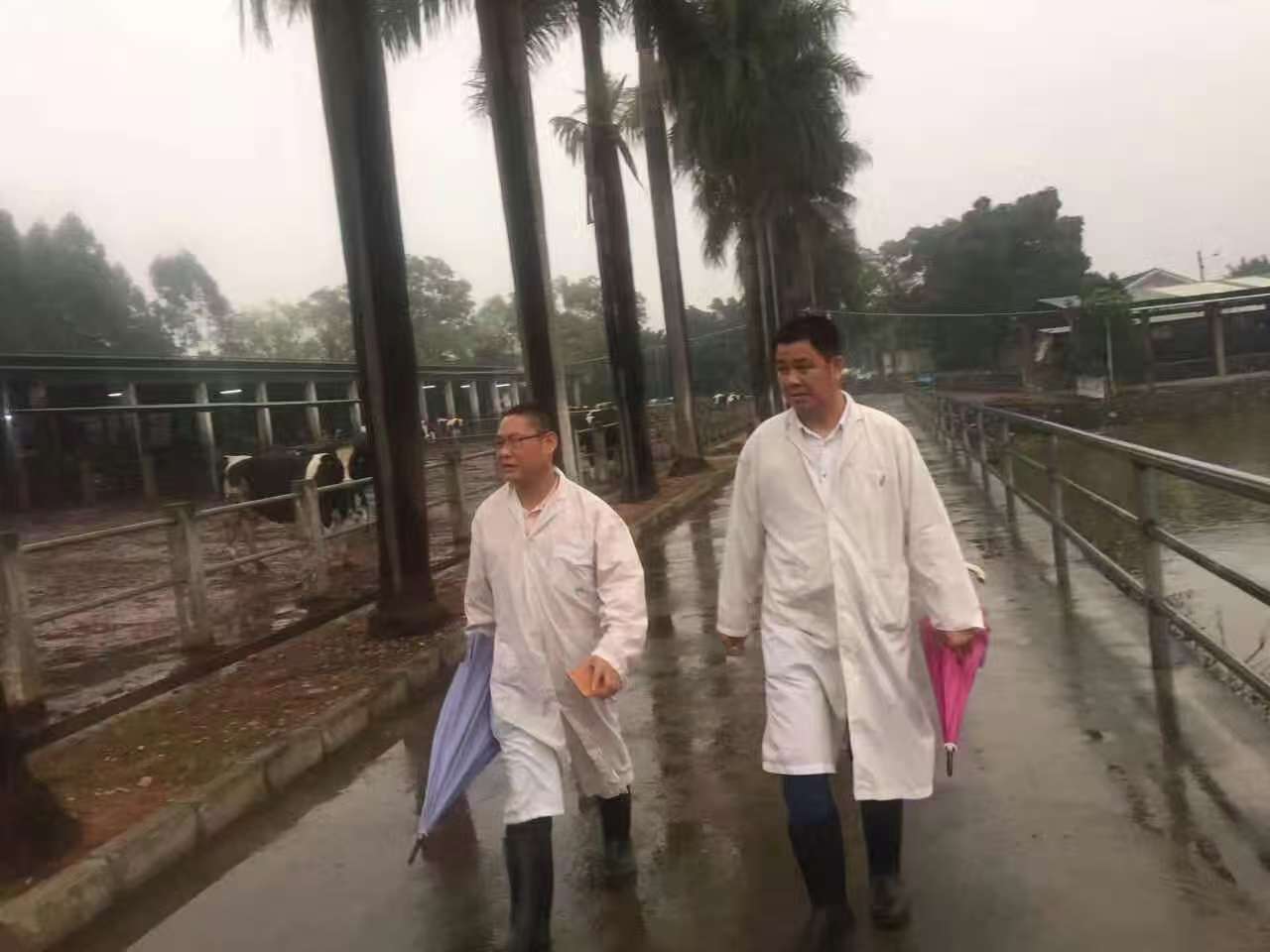 微信图片_20250719140316