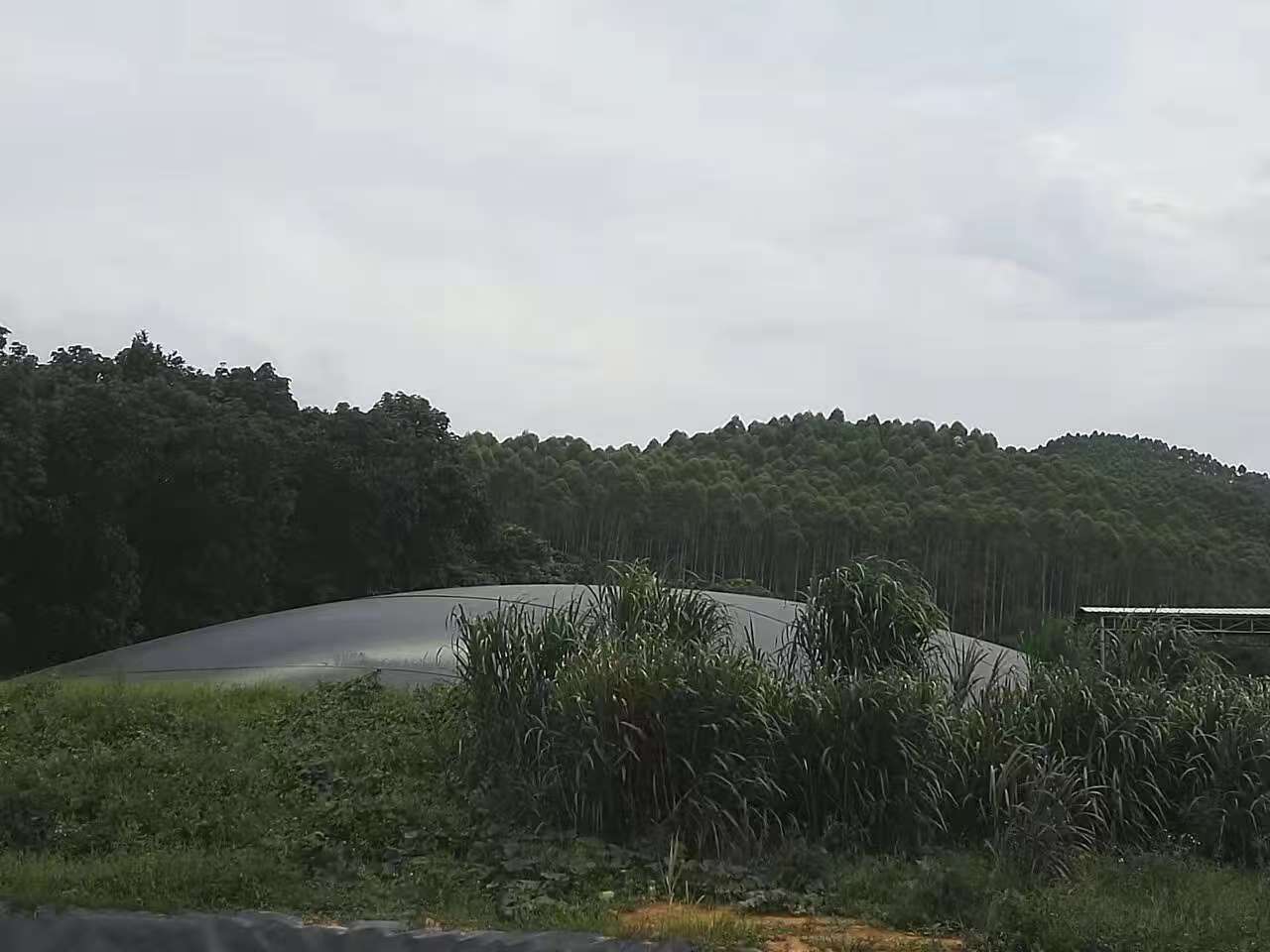 微信图片_20250719140242