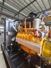 High - Efficiency King Power 300 kW/375 kVA Biogas Generator Set
