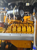 High - Efficiency King Power 300 kW/375 kVA Biogas Generator Set