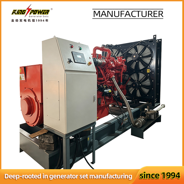 Reliable Quality 450kW/563kVA Natural Gas Biogas Biomass Generator Set