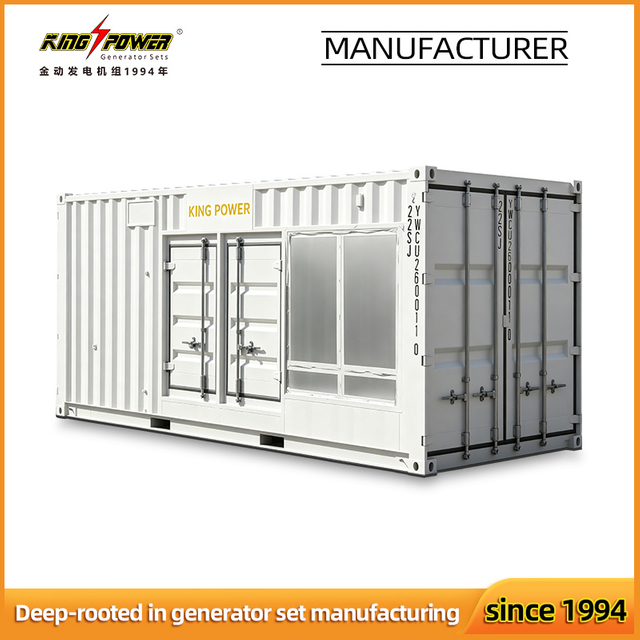 Customized Container Type 1000kw/1250kVA LNG CNG Natural Gas Generator with Synchronizing System