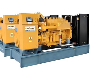 250KW Water-Cooled Biogas Generator Set for Sewage Treatment Plant, Wastewater Biogas Power Generation Unit